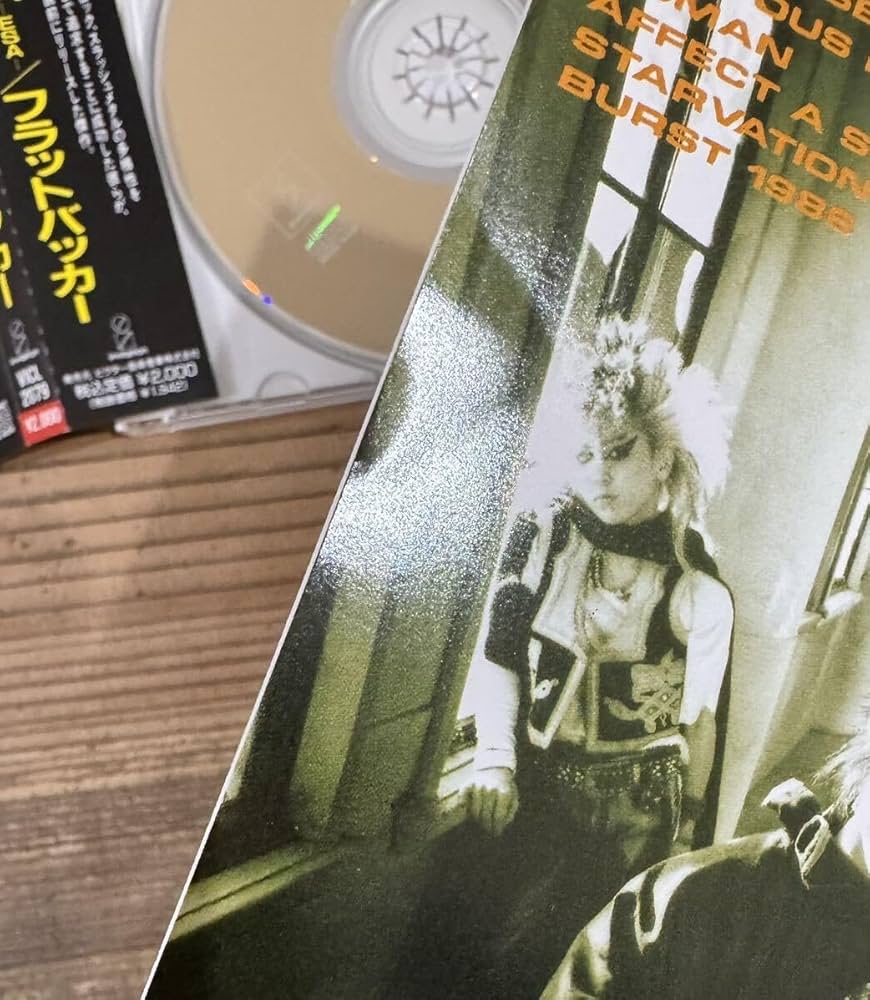 Amazon.co.jp: 廃盤 CD4枚セットFLATBACKER フラットバッカーEZO